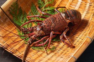 Delicious Japanese Cuisine